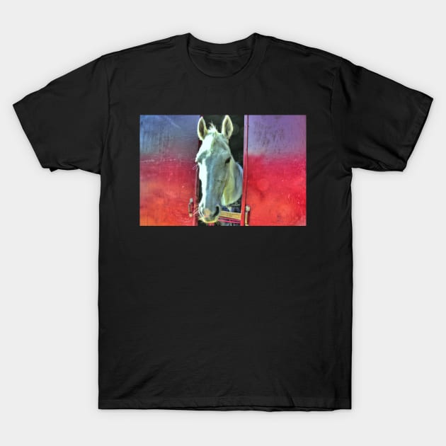 White Horse, artistic, red and blue T-Shirt by vandokkumburg